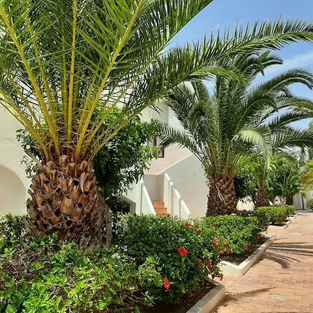 Residencial Teguisol Tf42
